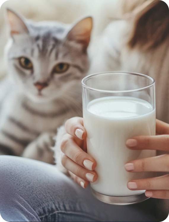 Сайт молочного бренда «Северная долина»